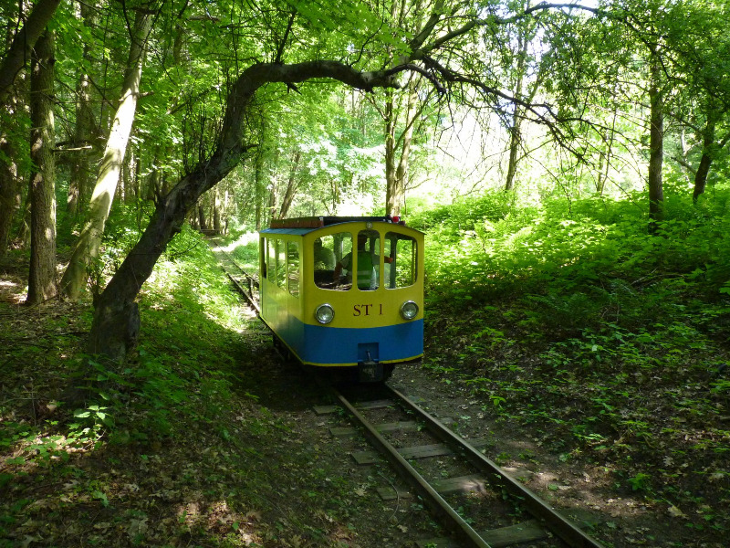 buchhorsterwaldbahn003