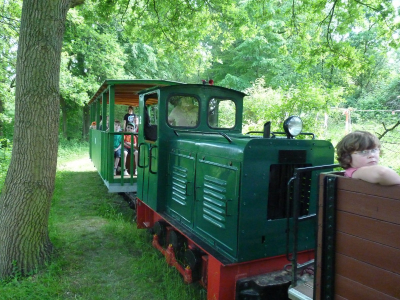 buchhorsterwaldbahn006