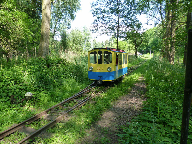 buchhorsterwaldbahn009