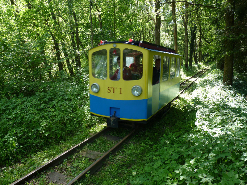 buchhorsterwaldbahn010